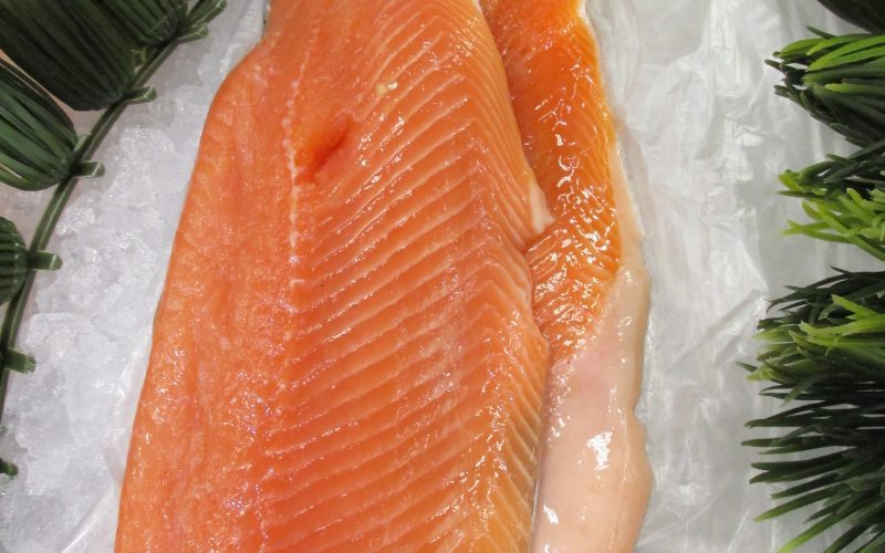 cut of fresh salmon