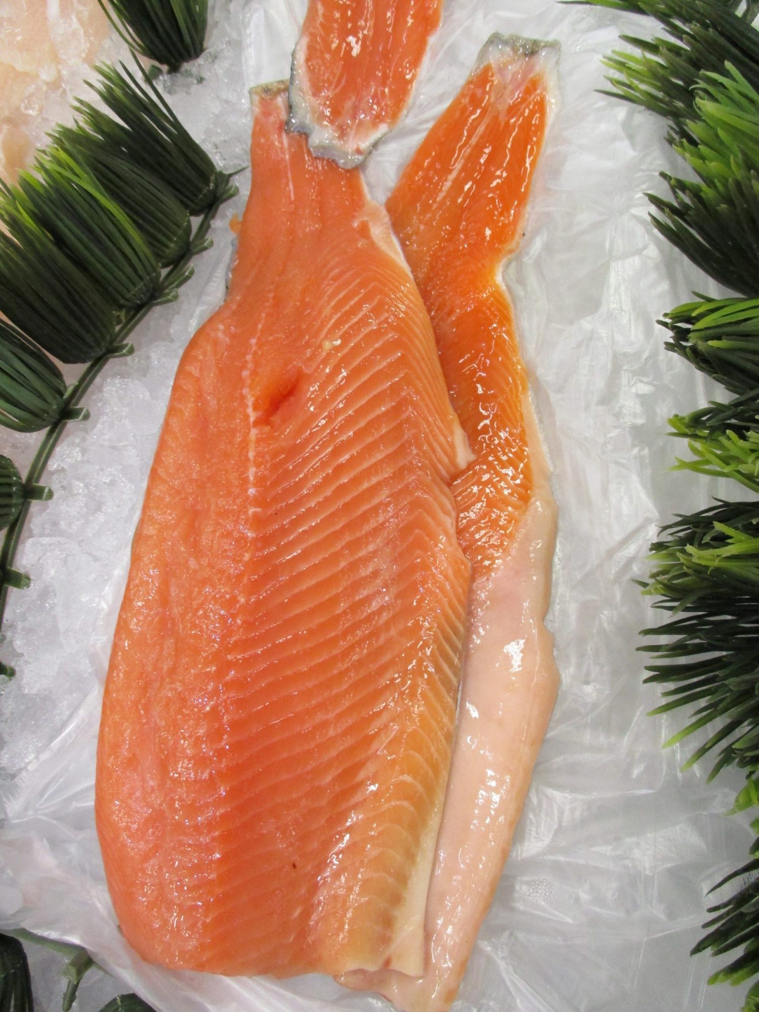 cut of fresh salmon