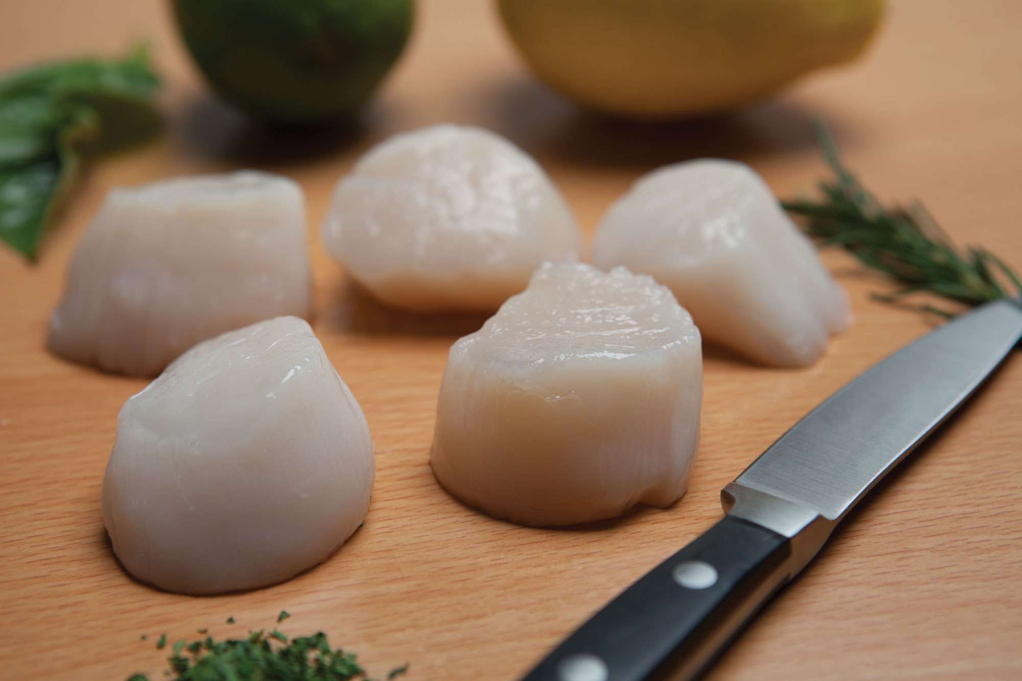 Massachusetts Caught Fresh Scallops Channel Fish Products