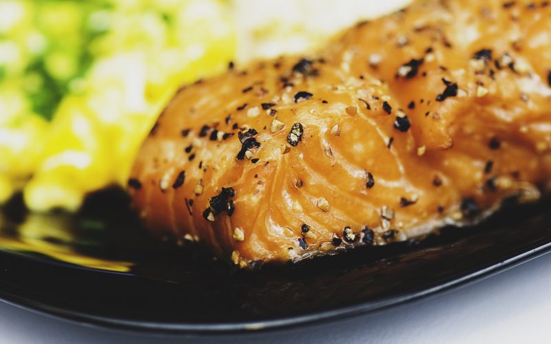 salmon meal