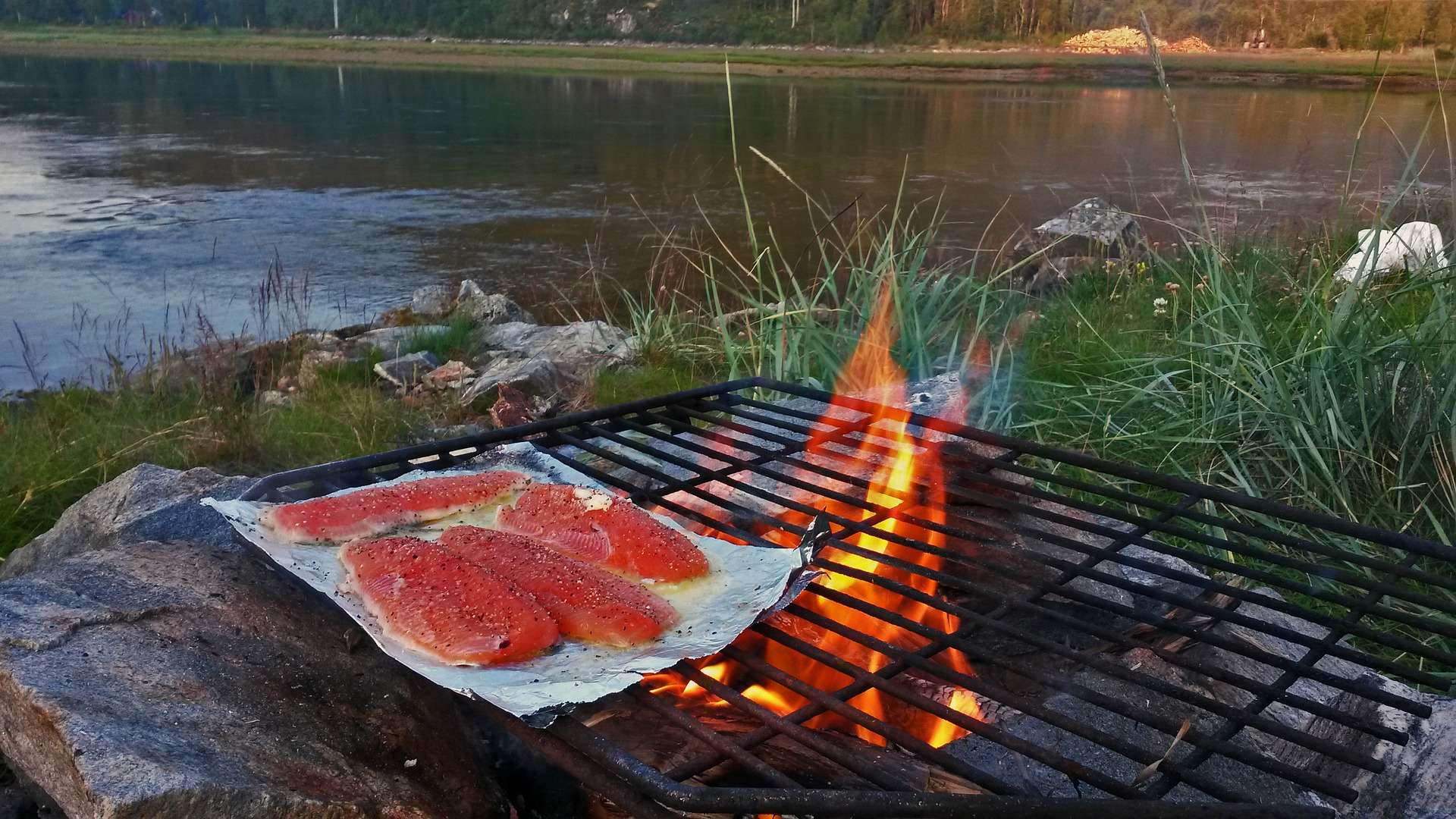 fish grill