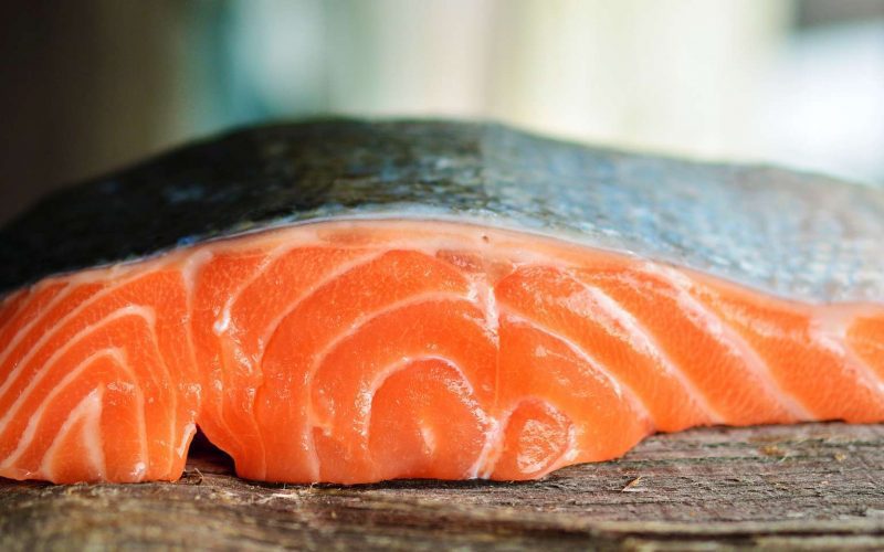 Salmon