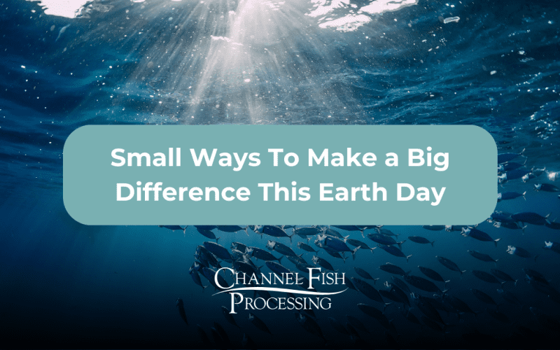 Sustainable fishing to celebrate Earth Day every day